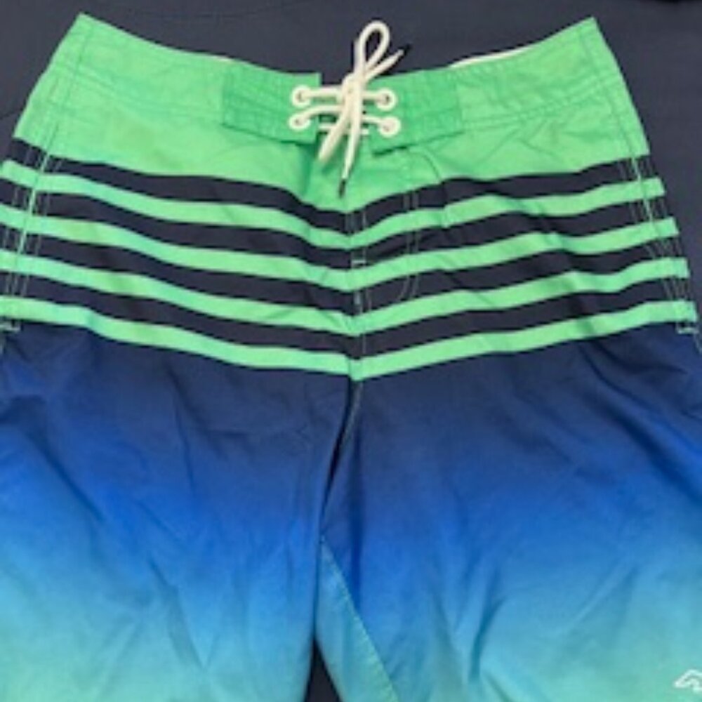 Hollister Swim Trunks